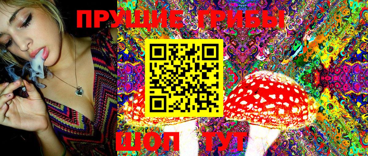 Галлюциногенные грибы Magic Shrooms Карасук